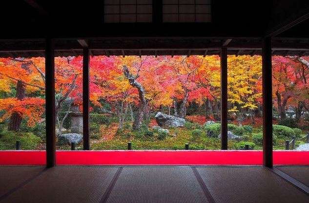 番外編⑮｜京都のおすすめイベントをご紹介いたします≪10月≫